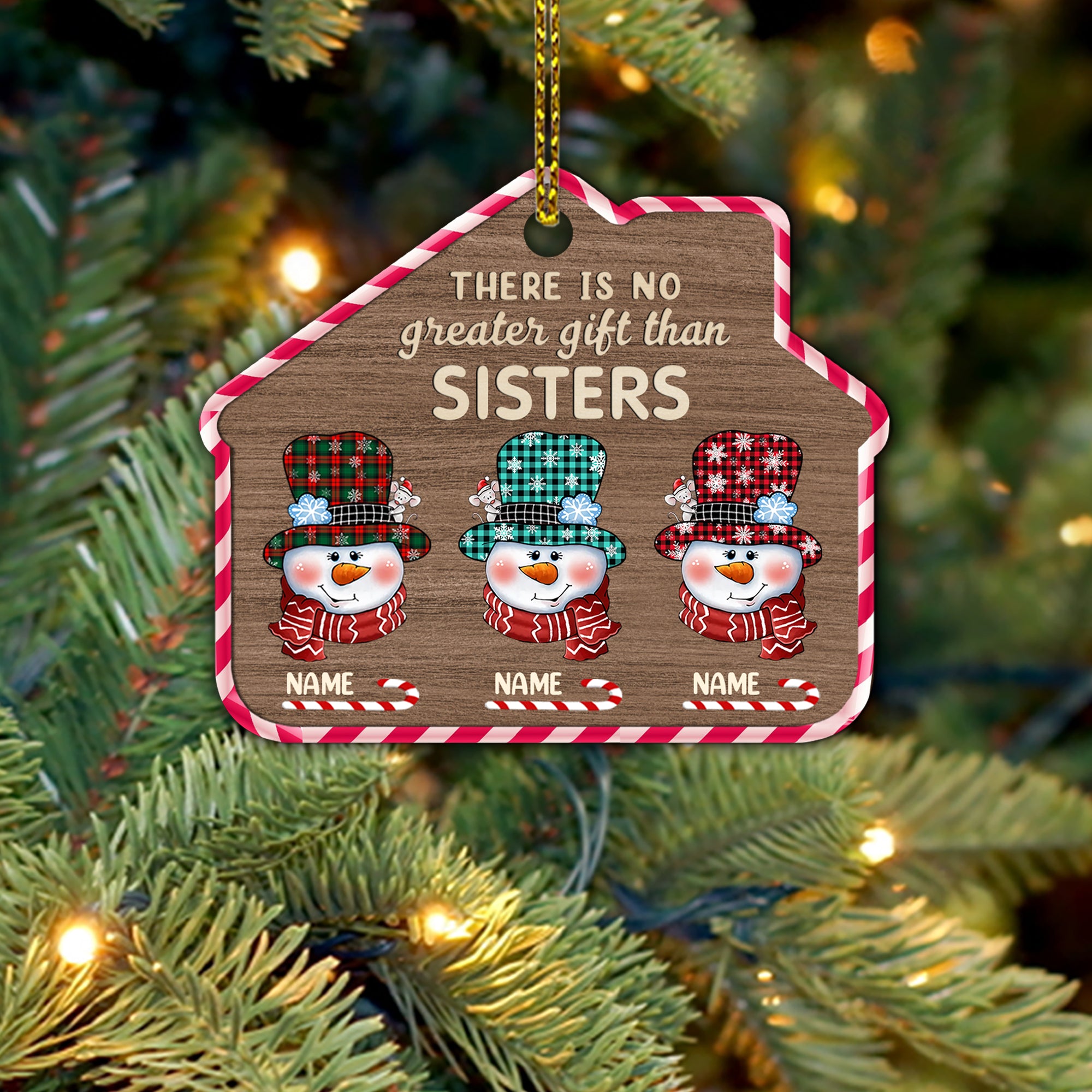 There Is No Greater Gifts Than Sisters Personalized Shaped Ornament For Sisters HN98 TRNA